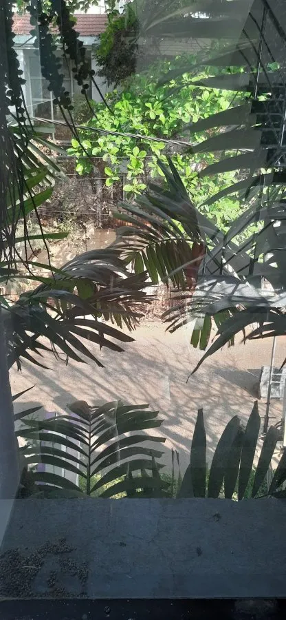 Oasis Fertility Centre Banjara Hills, Hyderabad: Best IVF Centre In Banjara Hills | IUI, ICSI, Advanced Fertility Treatments - Photo 7